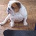 Otis "LeanDog"